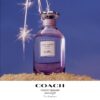 Coach Dreams Moonlight Eau De Parfum Spray 3 oz
